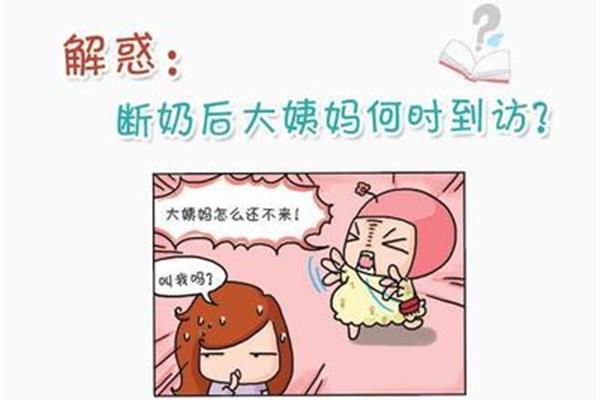 大姨妈来多久