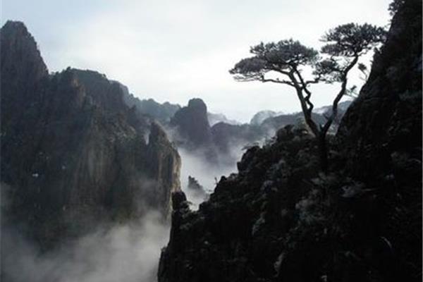 黄山四绝是哪四绝