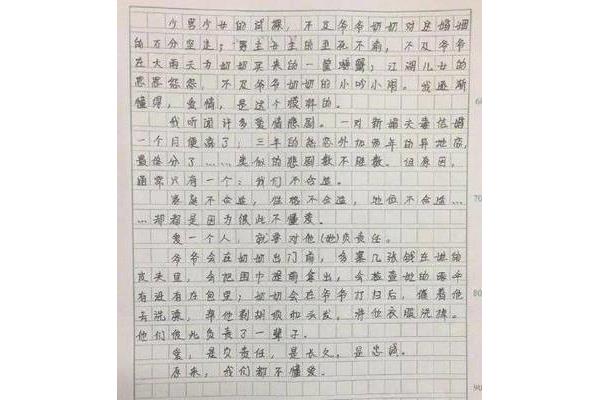 我的爷爷奶奶作文