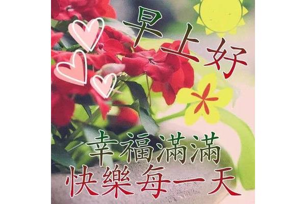 每天早晨的问候语