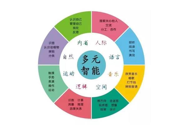 多元智力理论