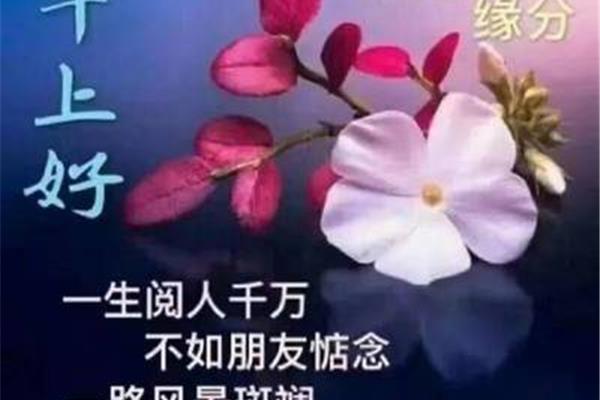 每天早晨的问候语