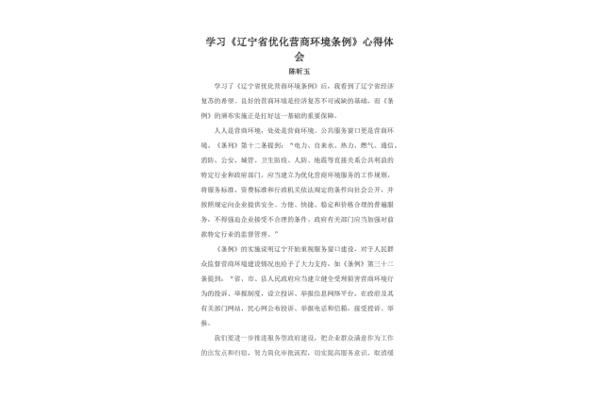 营商环境心得体会
