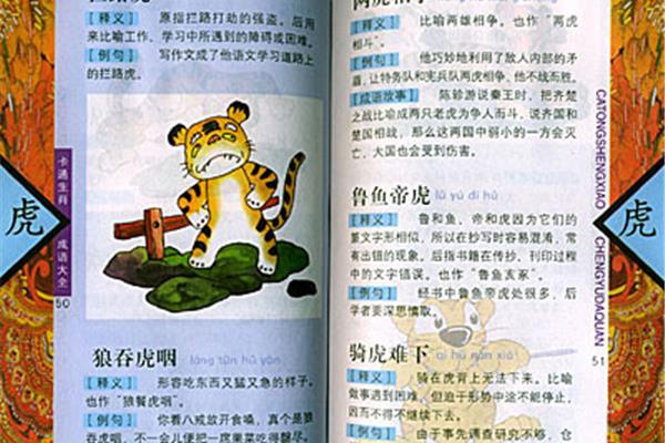精彩的成语