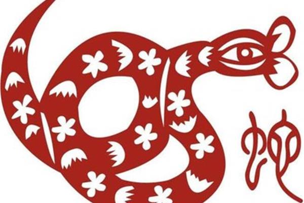 四面八方什么生肖