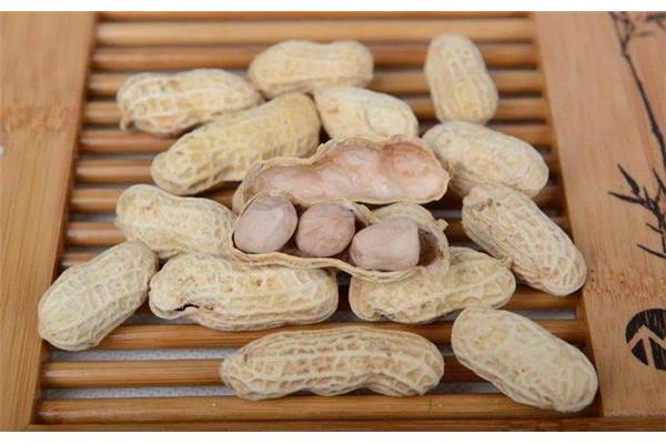 吃瓜子增肥吗