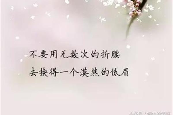 爱一个人的句子