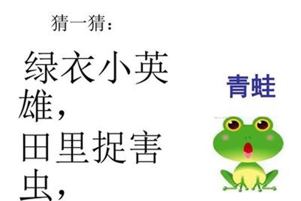 一年级下册小青蛙