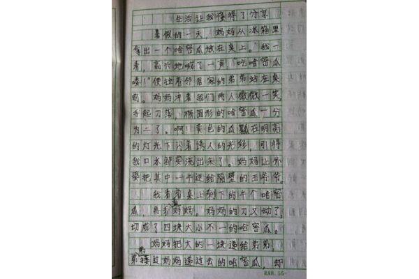我与传统文化作文