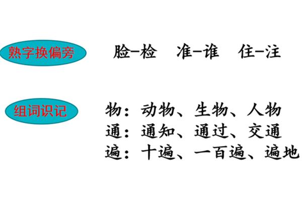 通过的通组词