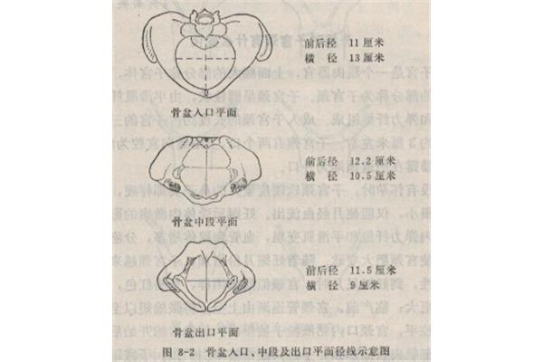 中骨盆平面