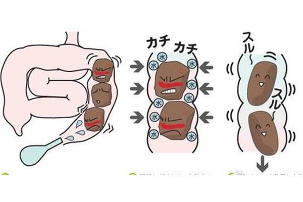灌肠禁忌症