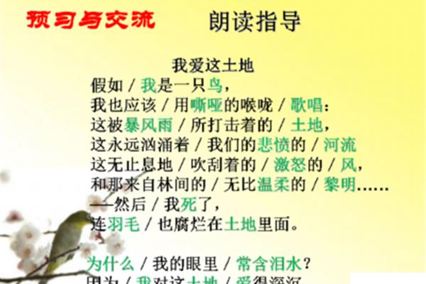 假如我是一只小鸟