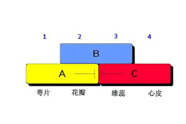ABC模型