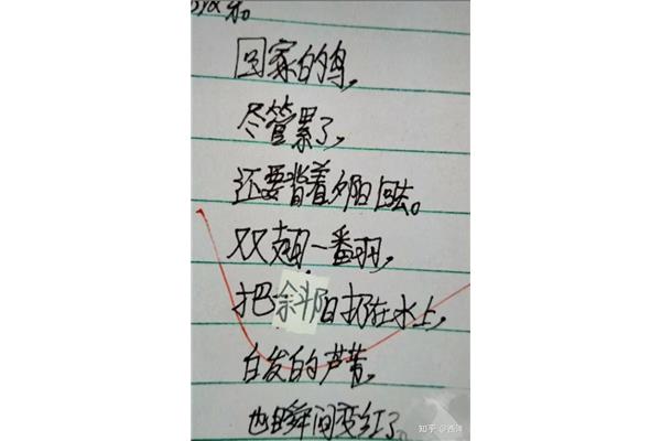 为什么写一句话