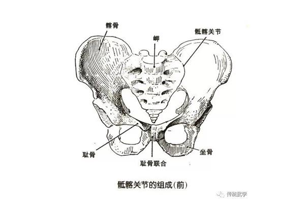 中骨盆平面