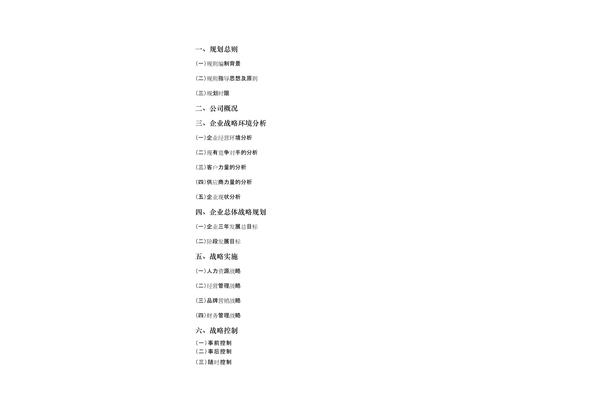 企业规划书