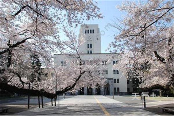 东京国际大学