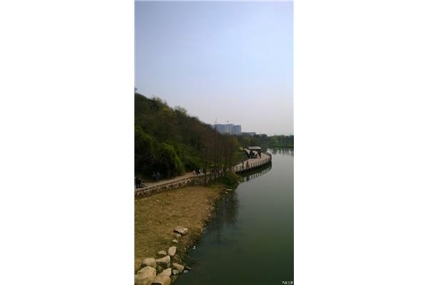 绍兴镜湖湿地公园
