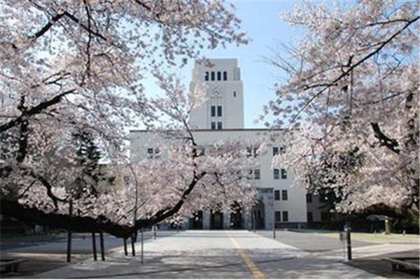 东京国际大学
