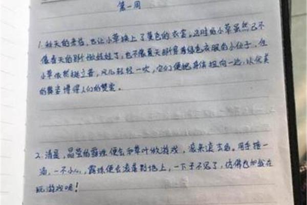 随笔是什么