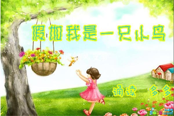 假如我是一只小鸟