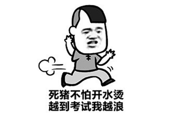 考试表情包