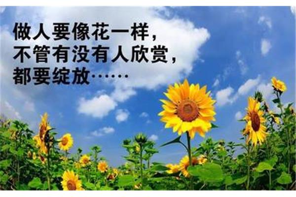 索然什么什么