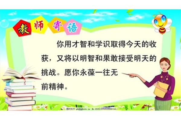 小学教师寄语
