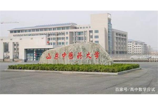 山东医学类大学