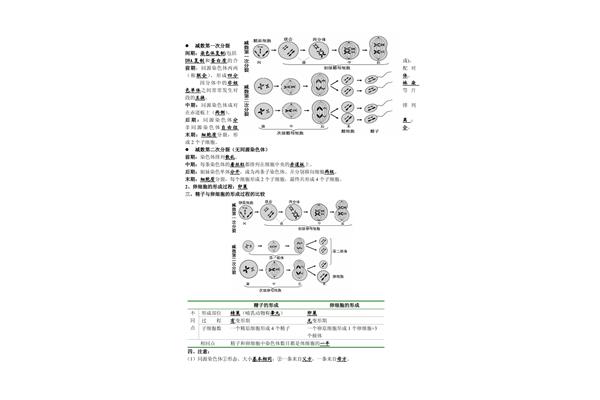 高一生物必修二
