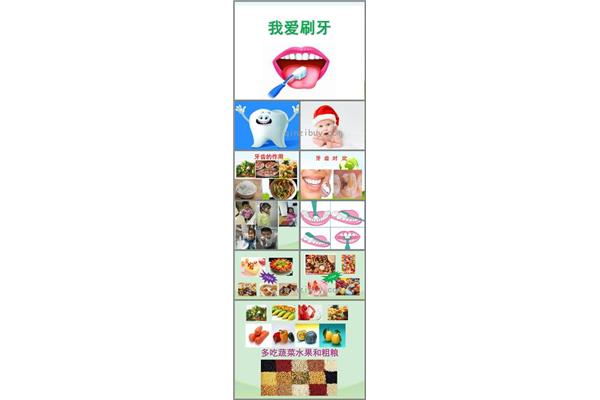 保护牙齿教案