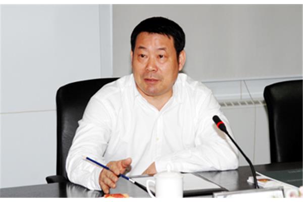 上海调查公司