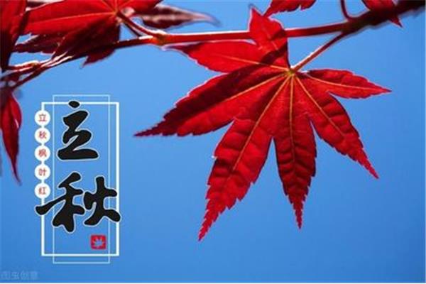 今年什么时候立秋