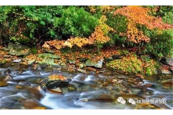 水随天去秋无际