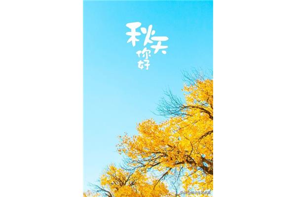 今年什么时候立秋