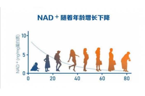 随着年龄的增长