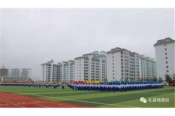 礼县实验中学