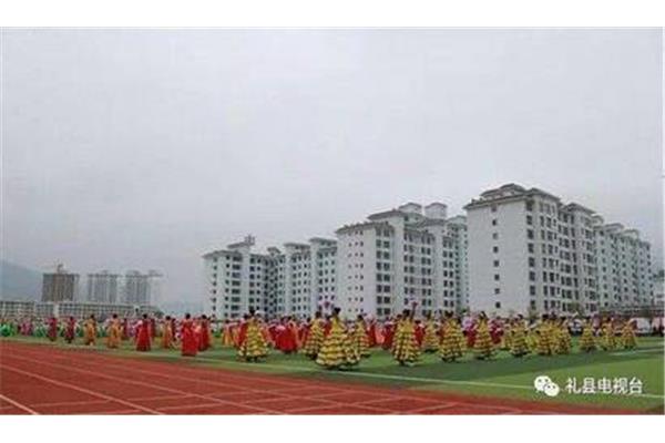 礼县实验中学