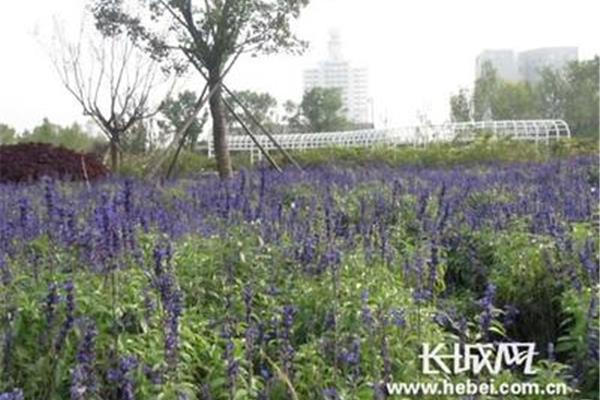 人性化的城市