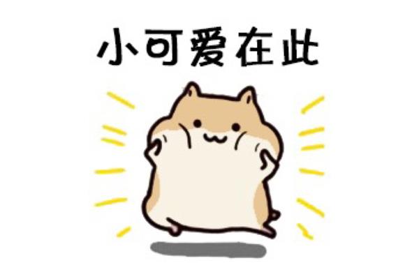 请你回头看看