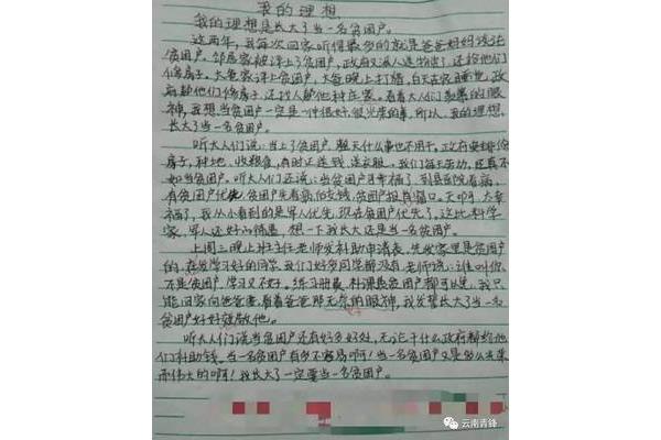 享受什么作文
