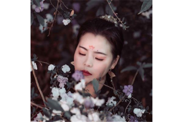 且向花间留晚照