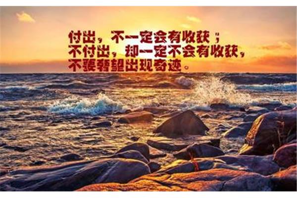 付出收获的名言