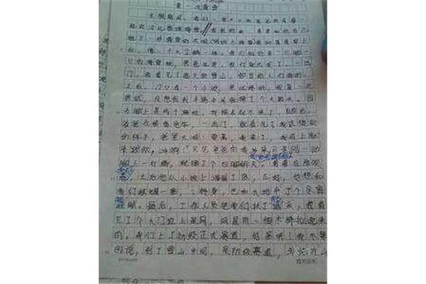 有关书的作文