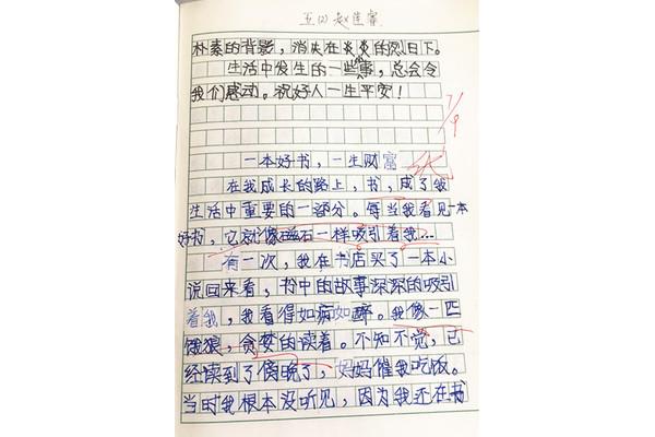 有关书的作文