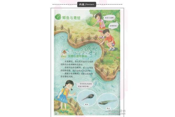 三年级上册科学书