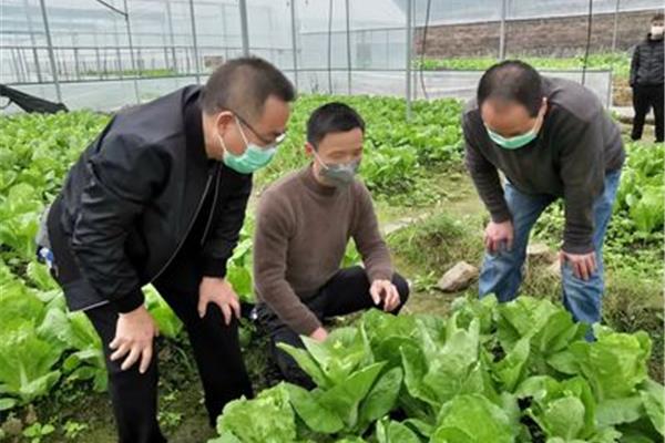 农业技术员