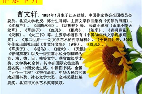 青铜葵花的作者