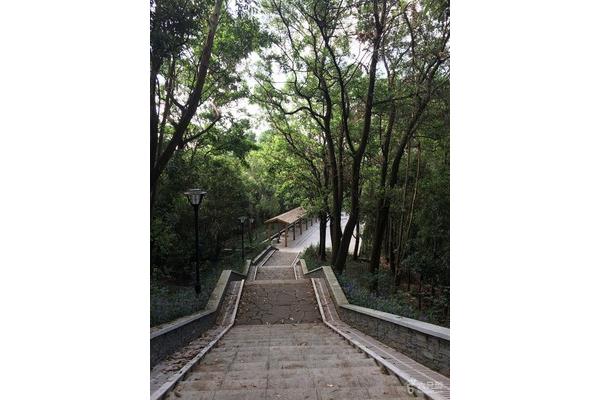石芽岭公园